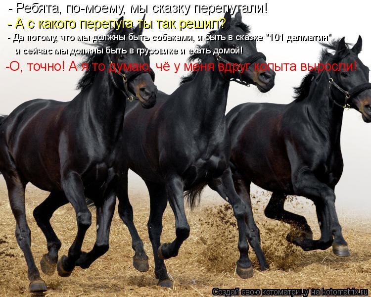 Котоматрица: - Ребята, по-моему, мы сказку перепутали! - А с какого перепуга ты так решил? - Да потому, что мы должны быть собаками, и быть в сказке "101 далмати