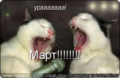 урааааааа! Март!!!!!!!!... Котоматрица: урааааааа! Март!!!!!!!!