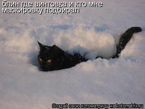 блин где винтовка и кто мне маскировку подбирал... Котоматрица: блин где винтовка и кто мне маскировку подбирал