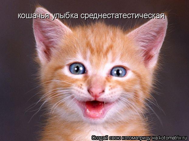 кошачья улыбка среднестатестическая... Котоматрица: кошачья улыбка среднестатестическая