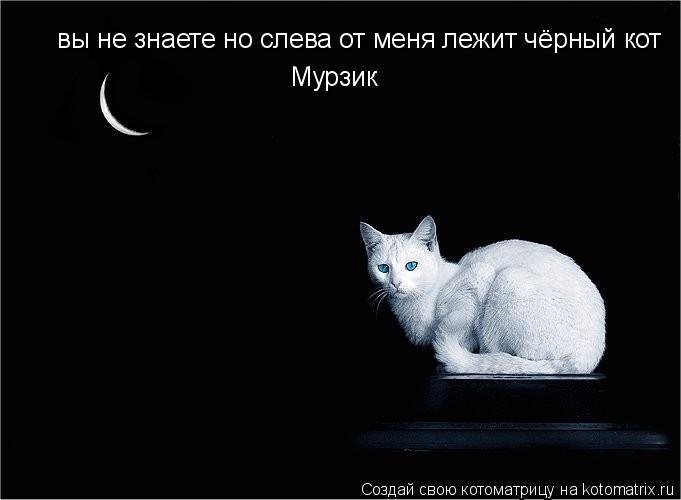 вы не знаете но слева от меня лежит чёрный кот Мурзик... Котоматрица: вы не знаете но слева от меня лежит чёрный кот Мурзик
