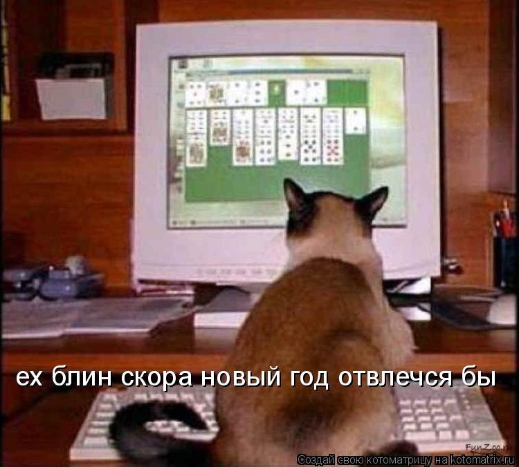 ех блин скора новый год отвлечся бы... Котоматрица: ех блин скора новый год отвлечся бы