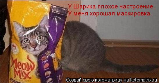 У Шарика плохое настроение, У меня хорошая маскировка.... Котоматрица: У Шарика плохое настроение, У меня хорошая маскировка.