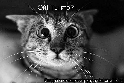 Ой! Ты кто? Ой! Ты кто?... Котоматрица: Ой! Ты кто? Ой! Ты кто?
