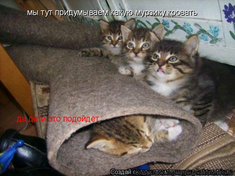 Котоматрица: мы тут придумываем какую мурзику кровать  да дети это подойдёт