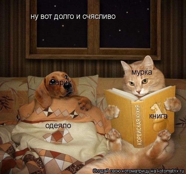 ну вот долго и счясливо одеяло книга мурка шарик... Котоматрица: ну вот долго и счясливо одеяло книга мурка шарик