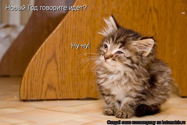 Новый Год говорите идёт? Ну-ну!... Котоматрица: Новый Год говорите идёт? Ну-ну!