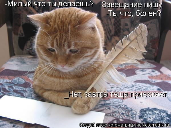 -Милый,что ты делаешь? -Завещание пишу. -Ты что, болен? _Нет, завтра тёща приезжает.... Котоматрица: -Милый,что ты делаешь? -Завещание пишу. -Ты что, болен? _Нет, завтра тёща приезжает.