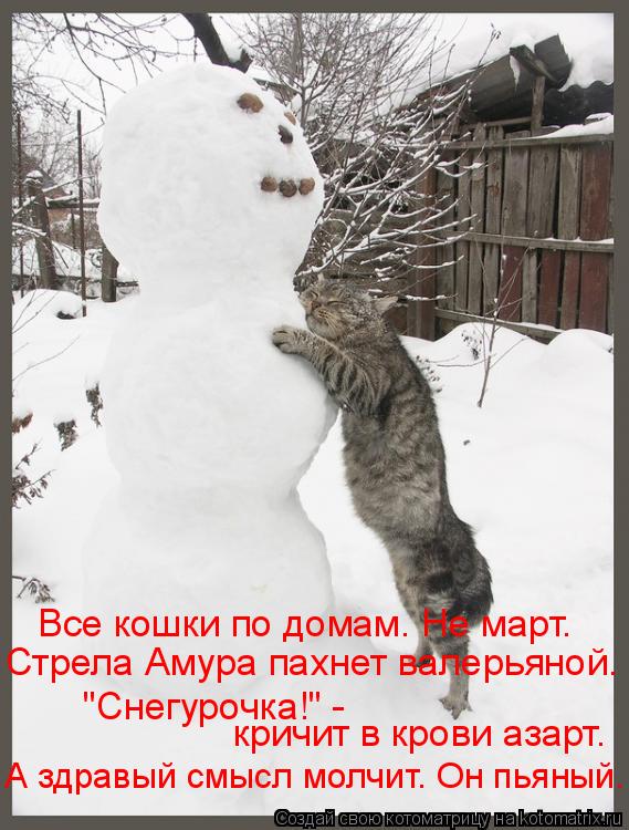 Все кошки по домам. Не март. Стрела Амура пахнет валерьяной. "Снегурочка!" - кричит в крови азарт. ... Котоматрица: Все кошки по домам. Не март. Стрела Амура пахнет валерьяной. "Снегурочка!" - кричит в крови азарт. А здравый смысл молчит. Он пьяный.