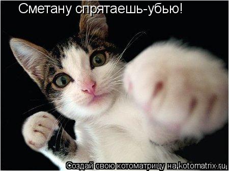 Котоматрица: Сметану спрятаешь-убью!