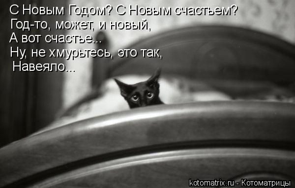 С Новым Годом? С Новым счастьем? Год-то, может, и новый, А вот счастье... Ну, не хмурьтесь, это так, ... Котоматрица: С Новым Годом? С Новым счастьем? Год-то, может, и новый, А вот счастье... Ну, не хмурьтесь, это так, Навеяло...