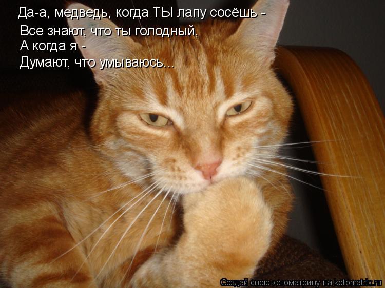 Да-а, медведь, когда ТЫ лапу сосёшь - Все знают, что ты голодный, А когда я - Думают, что умываюсь...... Котоматрица: Да-а, медведь, когда ТЫ лапу сосёшь - Все знают, что ты голодный, А когда я - Думают, что умываюсь...