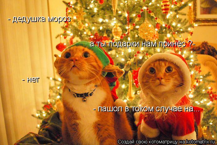 Котоматрица: - дедушка мороз а ты подарки нам принёс ?- - нет - пашол в током случае на...