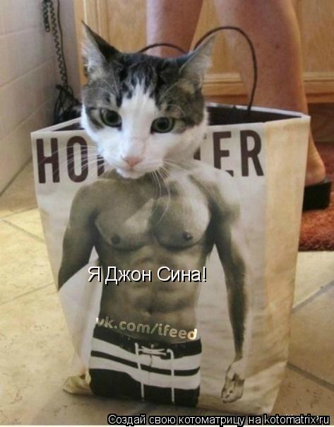 Котоматрица: Я Джон Сина!