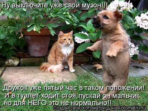 Котоматрица: Ну выключите уже свой музон!!!  Дружок уже пятый час в таком положении! И в туалет ходит стоя, пускай он мальчик но для НЕГО это не нормально!!