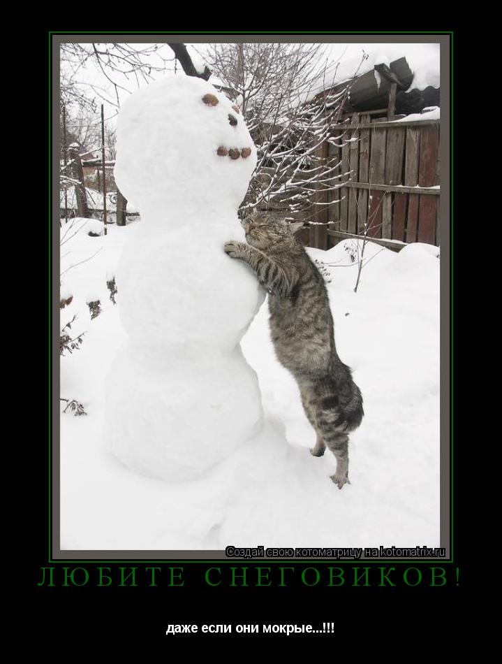 Любите снеговиков! даже если они мокрые...!!!... Котоматрица: Любите снеговиков! даже если они мокрые...!!!