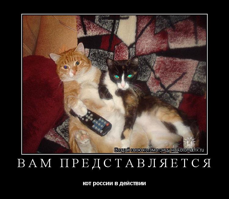 Котоматрица: вам представляется кот россии в действии