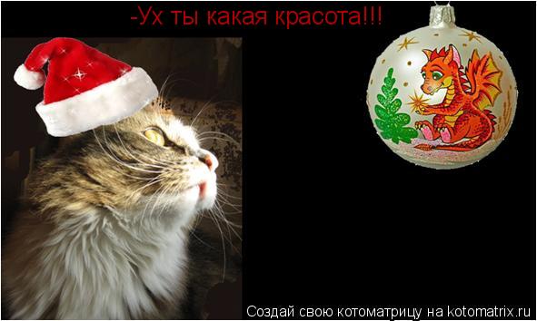 -Ух ты какая красота!!!... Котоматрица: -Ух ты какая красота!!!