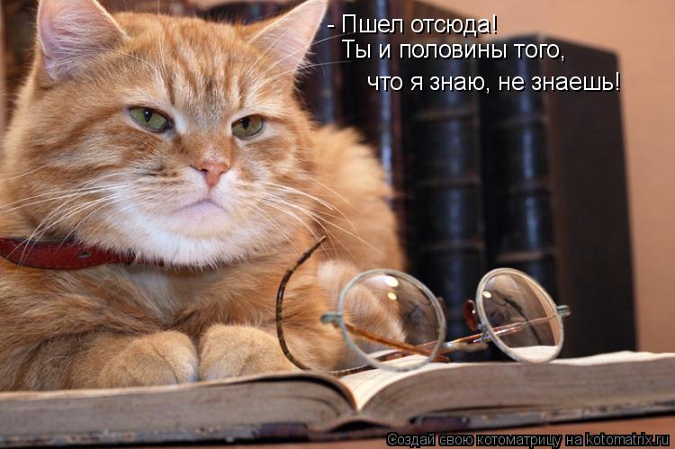 - Пшел отсюда! Ты и половины того, что я знаю, не знаешь!... Котоматрица: - Пшел отсюда! Ты и половины того, что я знаю, не знаешь!