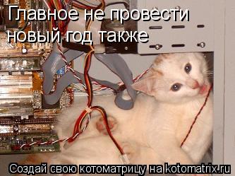 Главное не провести новый год также... Котоматрица: Главное не провести новый год также