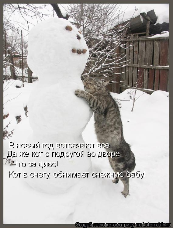 В новый год встречают все Да же кот с подругой во дворе Что за диво! Кот в снегу, обнимает снежную ба... Котоматрица: В новый год встречают все Да же кот с подругой во дворе Что за диво! Кот в снегу, обнимает снежную бабу!