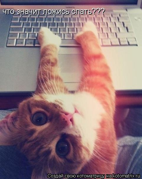 что значит ложись спать???... Котоматрица: что значит ложись спать???