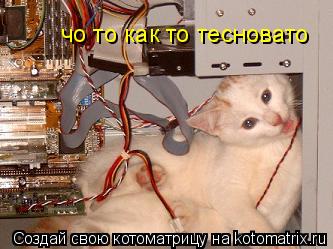 чо то как то тесновато... Котоматрица: чо то как то тесновато