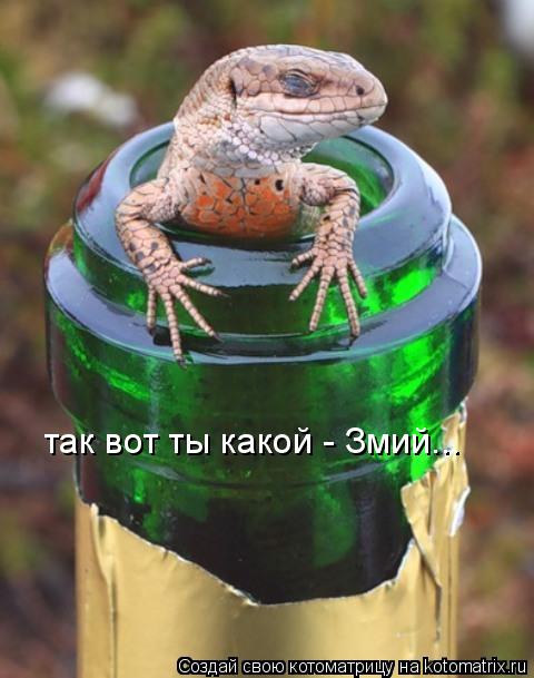 так вот ты какой - Змий...... Котоматрица: так вот ты какой - Змий...