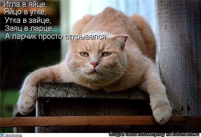 Игла в яйце, Яйцо в утке, Утка в зайце, Заяц в ларце. А ларчик просто открывался...... Котоматрица: Игла в яйце, Яйцо в утке, Утка в зайце, Заяц в ларце. А ларчик просто открывался...