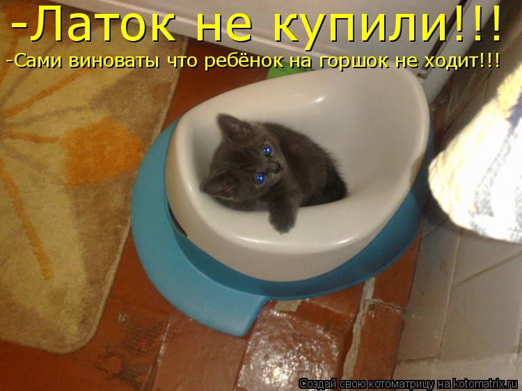 Котоматрица: -Латок не купили!!! -Сами виноваты что ребёнок на горшок не ходит!!!