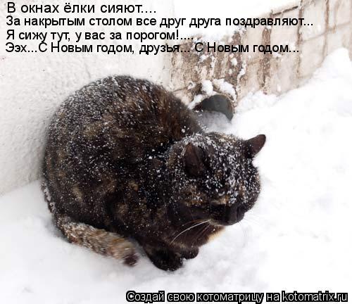 В окнах ёлки сияют.... За накрытым столом все друг друга поздравляют... За накрытым столом все друг д... Котоматрица: В окнах ёлки сияют.... За накрытым столом все друг друга поздравляют... За накрытым столом все друг друга поздравляют... Я сижу тут, у вас за пор