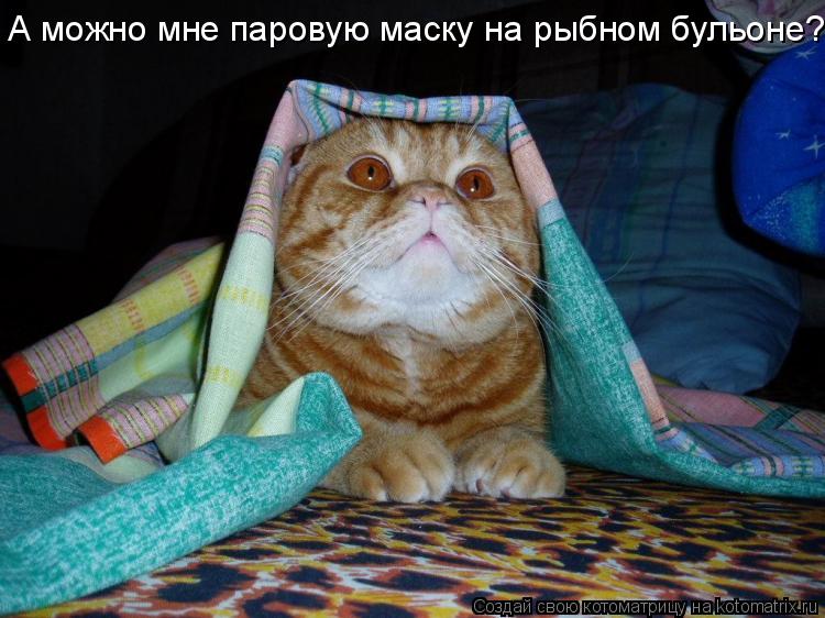 А можно мне паровую маску на рыбном бульоне?... Котоматрица: А можно мне паровую маску на рыбном бульоне?