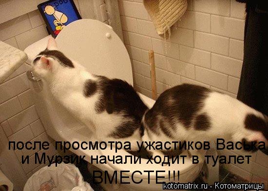 после просмотра ужастиков Васька и Мурзик начали ходит в туалет ВМЕСТЕ!!!... Котоматрица: после просмотра ужастиков Васька и Мурзик начали ходит в туалет ВМЕСТЕ!!!
