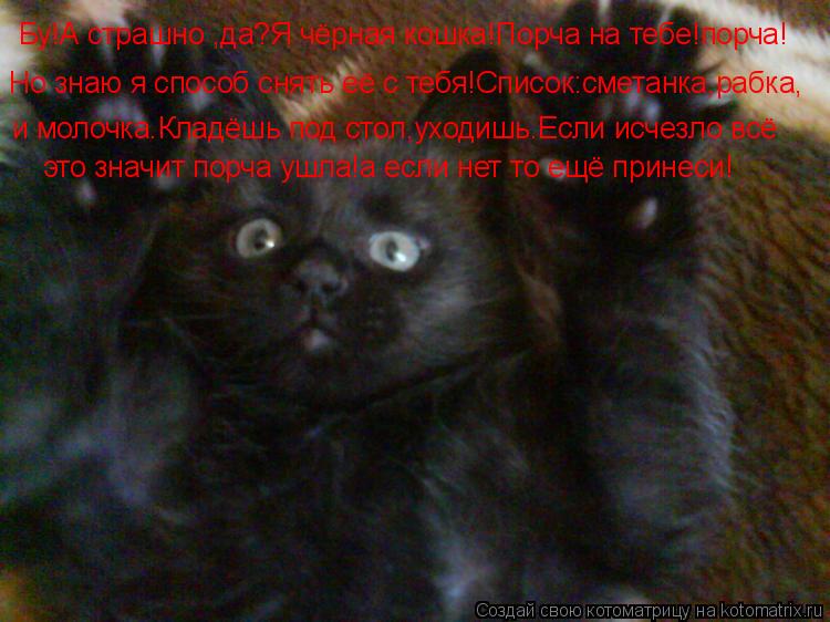 Бу!А страшно ,да?Я чёрная кошка!Порча на тебе!порча! Но знаю я способ снять её с тебя!Список:сметанка... Котоматрица: Бу!А страшно ,да?Я чёрная кошка!Порча на тебе!порча! Но знаю я способ снять её с тебя!Список:сметанка,рабка, и молочка.Кладёшь под стол,уходиш