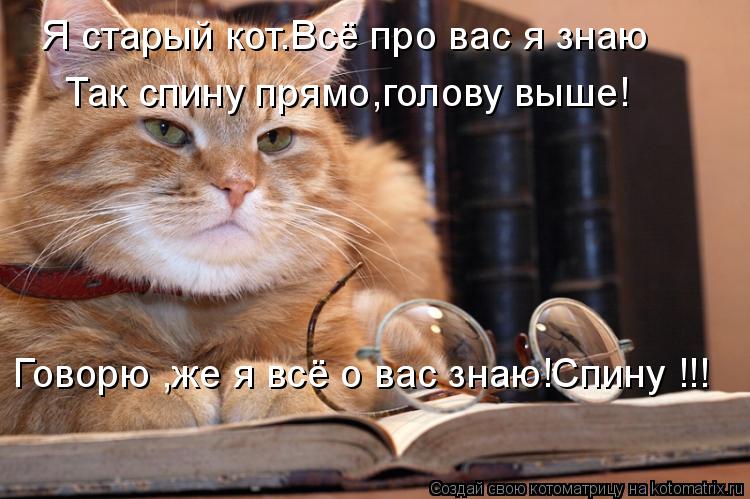 Котоматрица: Я старый кот.Всё про вас я знаю Так спину прямо,голову выше! Говорю ,же я всё о вас знаю!Спину !!!