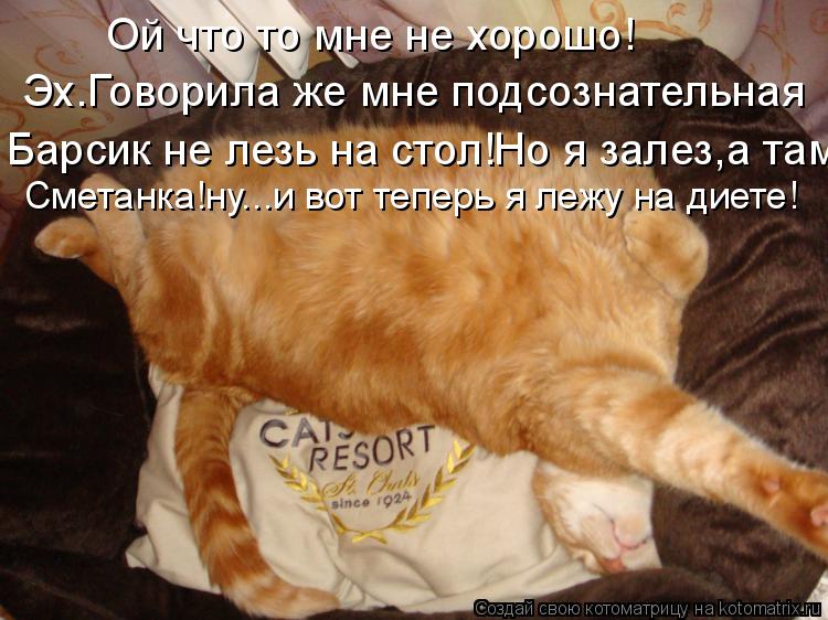 Котоматрица: Ой что то мне не хорошо! Эх.Говорила же мне подсознательная Барсик не лезь на стол!Но я залез,а там Сметанка!ну...и вот теперь я лежу на диете!