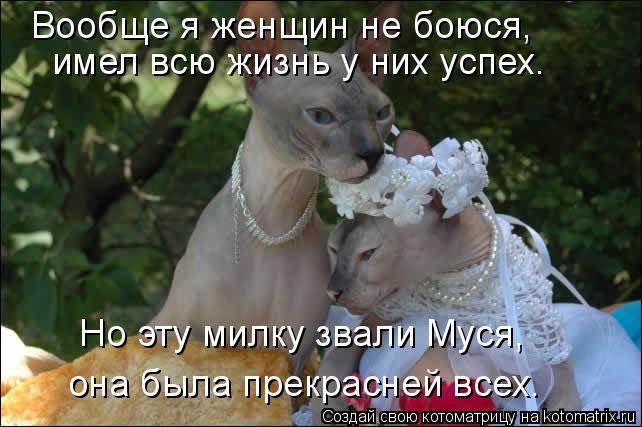 Котоматрица: она была прекрасней всех. Вообще я женщин не боюся,  Но эту милку звали Муся,  имел всю жизнь у них успех.