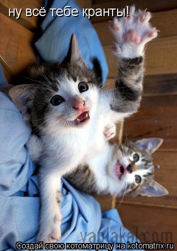 Котоматрица: ну всё тебе кранты!