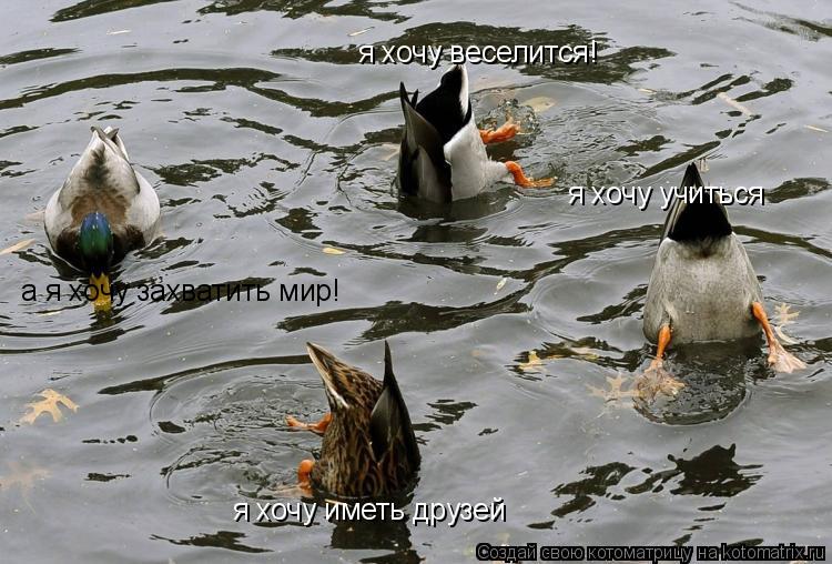 я хочу веселится! я хочу учиться я хочу иметь друзей а я хочу захватить мир!... Котоматрица: я хочу веселится! я хочу учиться я хочу иметь друзей а я хочу захватить мир!