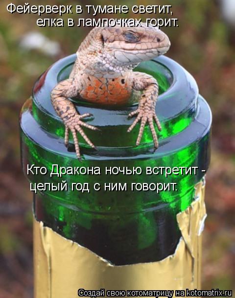 Фейерверк в тумане светит, елка в лампочках горит. Кто Дракона ночью встретит - целый год с ним гов... Котоматрица: Фейерверк в тумане светит, елка в лампочках горит. Кто Дракона ночью встретит - целый год с ним говорит.