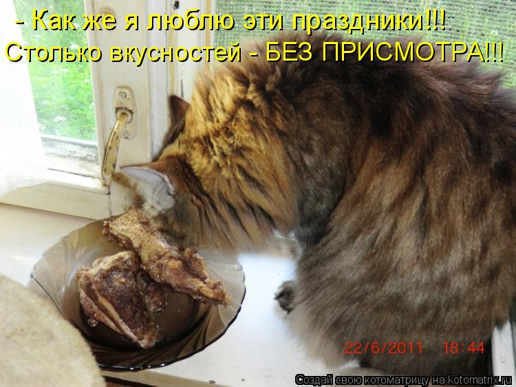 - Как же я люблю эти праздники!!! Столько вкусностей - БЕЗ ПРИСМОТРА!!!... Котоматрица: - Как же я люблю эти праздники!!! Столько вкусностей - БЕЗ ПРИСМОТРА!!!