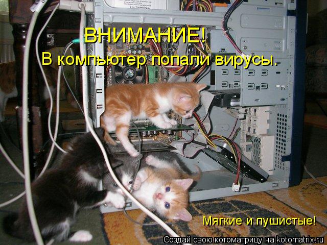ВНИМАНИЕ! Мягкие и пушистые! В компьютер попали вирусы.... Котоматрица: ВНИМАНИЕ! Мягкие и пушистые! В компьютер попали вирусы.