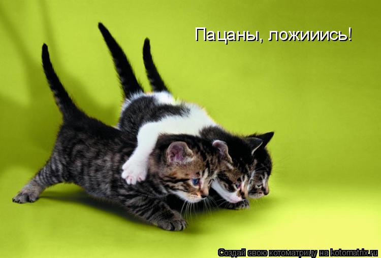 Пацаны, ложииись!... Котоматрица: Пацаны, ложииись!