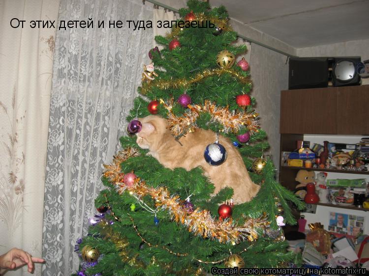 От этих детей и не туда залезешь...... Котоматрица: От этих детей и не туда залезешь...