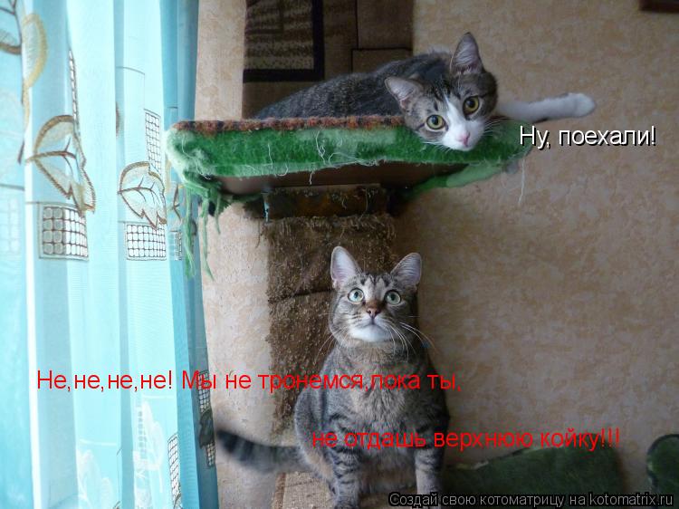 Ну, поехали! Не,не,не,не! Мы не тронемся,пока ты,не отдашь верхнюю койку!!! Не,не,не,не! Мы не тронем... Котоматрица: Ну, поехали! Не,не,не,не! Мы не тронемся,пока ты,не отдашь верхнюю койку!!! Не,не,не,не! Мы не тронемся,пока ты, не отдашь верхнюю койку!!!