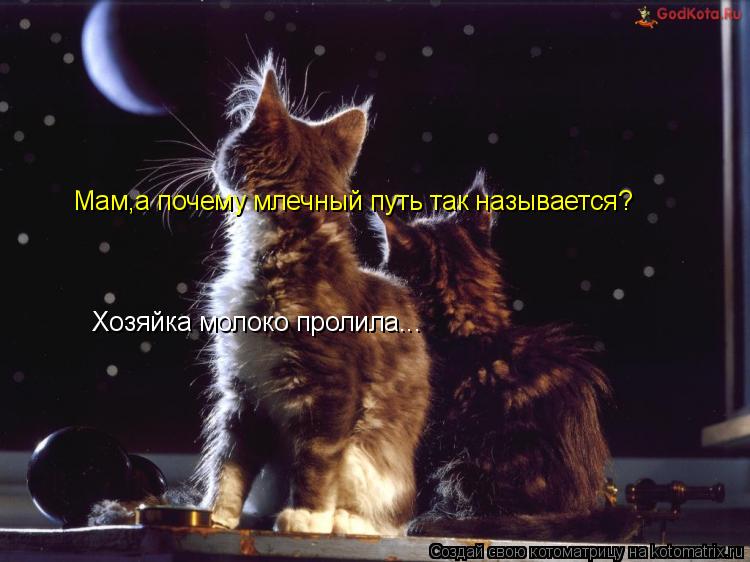 Мам,а почему млечный путь так называется? Хозяйка молоко пролила...... Котоматрица: Мам,а почему млечный путь так называется? Хозяйка молоко пролила...