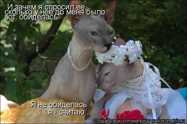 И зачем я спросил ее, сколько у нее до меня было вот, обиделась Я не обиделась я - считаю...... Котоматрица: И зачем я спросил ее, сколько у нее до меня было вот, обиделась Я не обиделась я - считаю...