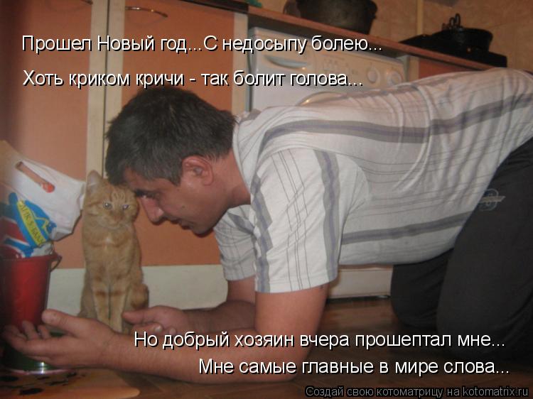 Хоть криком кричи - так болит голова... Мне самые главные в мире слова... Но добрый хозяин вчера прош... Котоматрица: Хоть криком кричи - так болит голова... Мне самые главные в мире слова... Но добрый хозяин вчера прошептал мне... Прошел Новый год...С недосыпу б