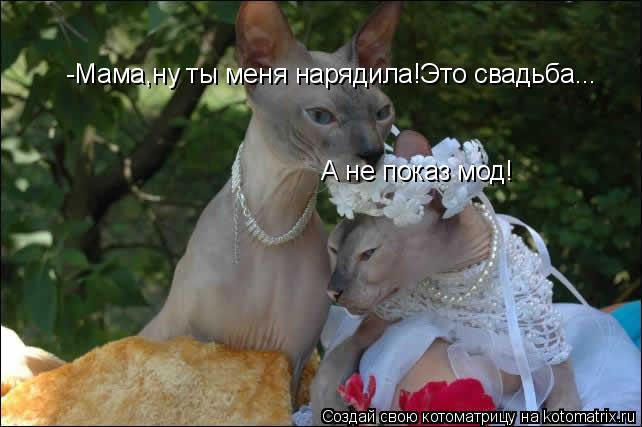 -Мама,ну ты меня нарядила!Это свадьба... А не показ мод!... Котоматрица: -Мама,ну ты меня нарядила!Это свадьба... А не показ мод!