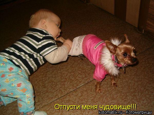 Отпусти меня чудовище!!!... Котоматрица: Отпусти меня чудовище!!!
